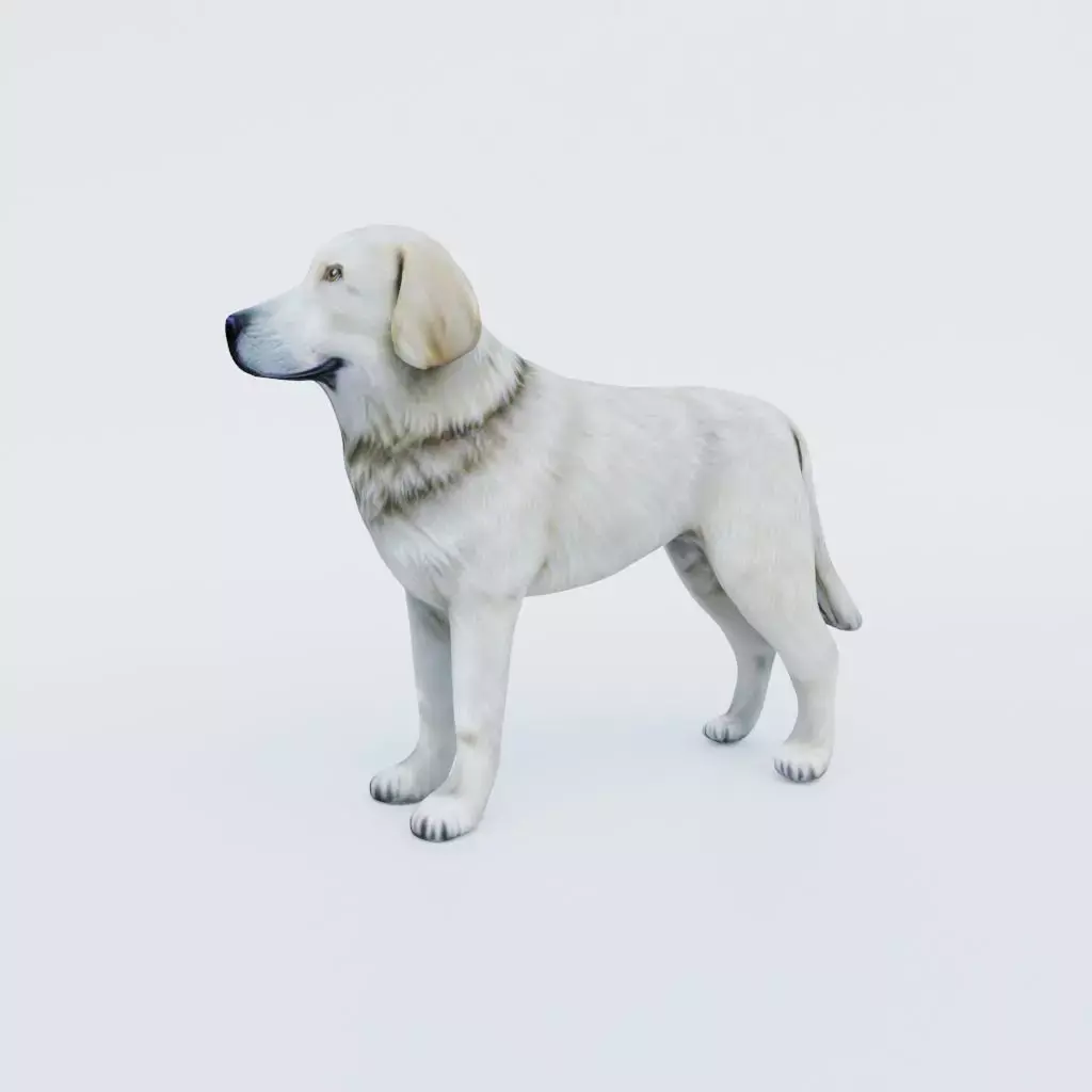 Dog Animal Free 3D model