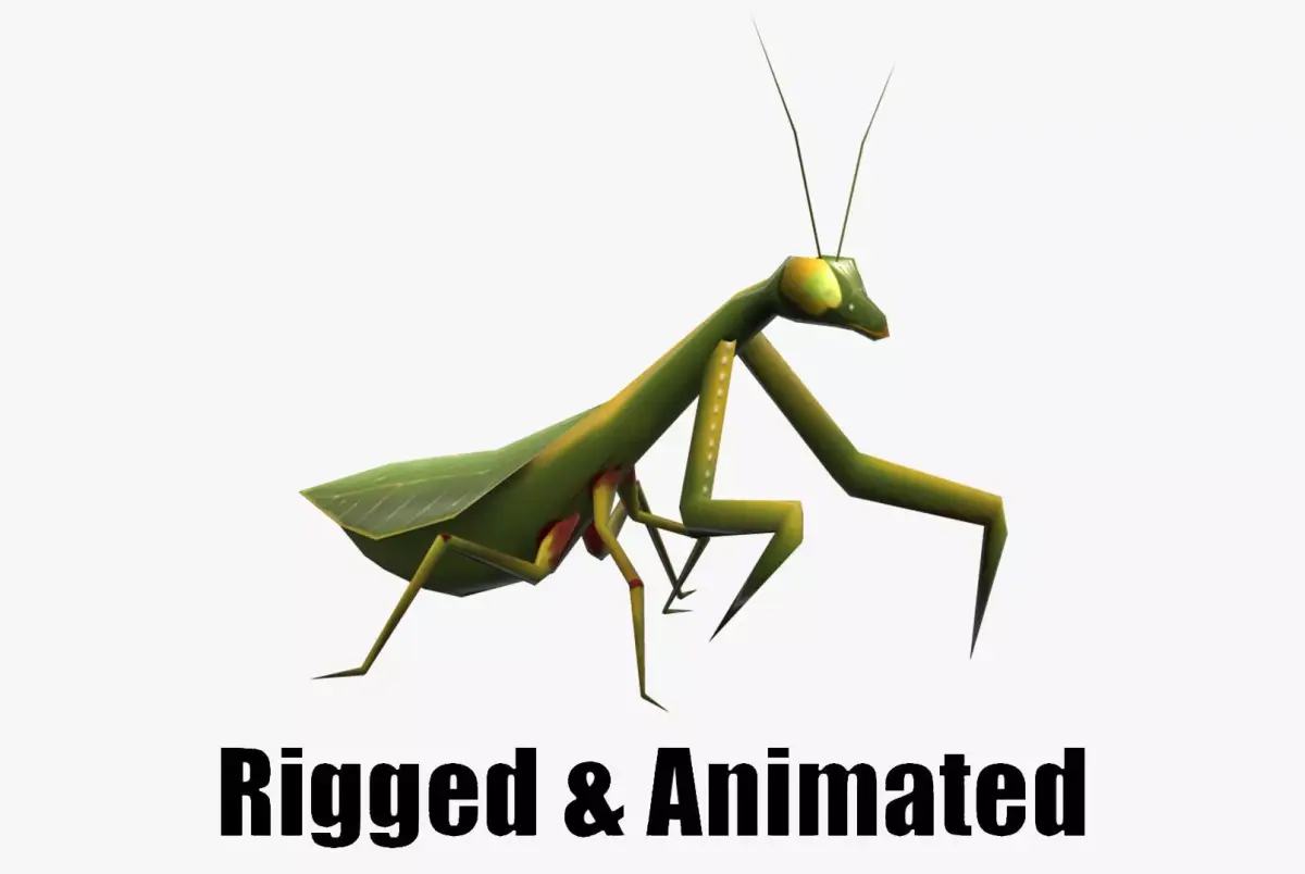 Animated Mantis Low-poly 3D model