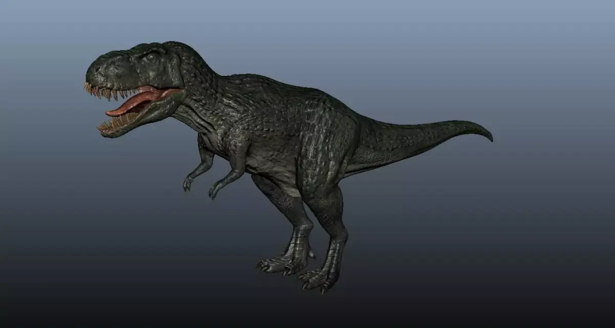 Tyrannosaurus Rex 3D model 7