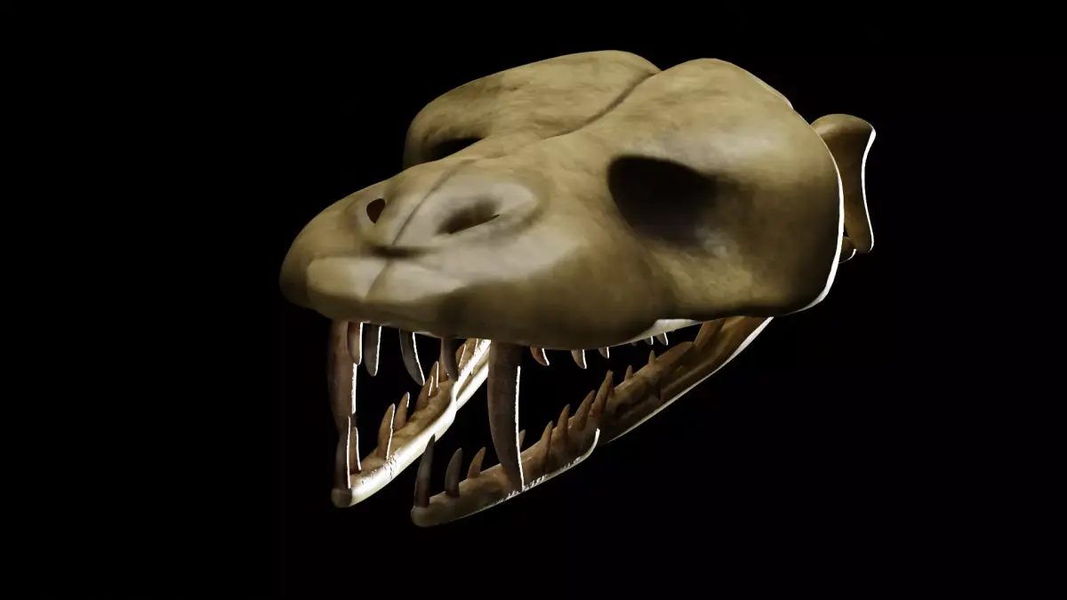 SNEAK SKULL Low-poly 3D model