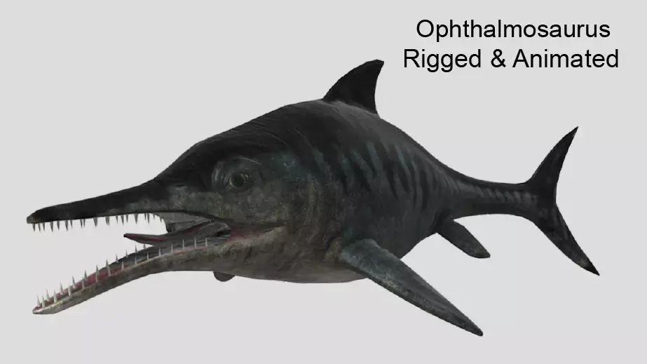 Ophthalmosaurus Realistic Animated Low-poly 3D model
