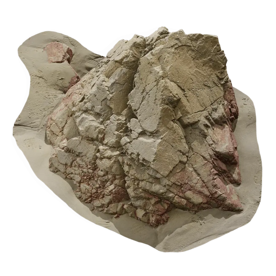  Medium Cracked Beach Rock Model  purchase