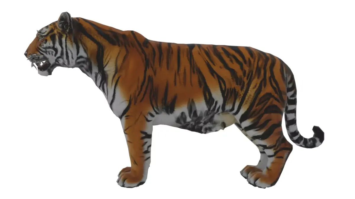 Tiger Low-poly 3D model buy