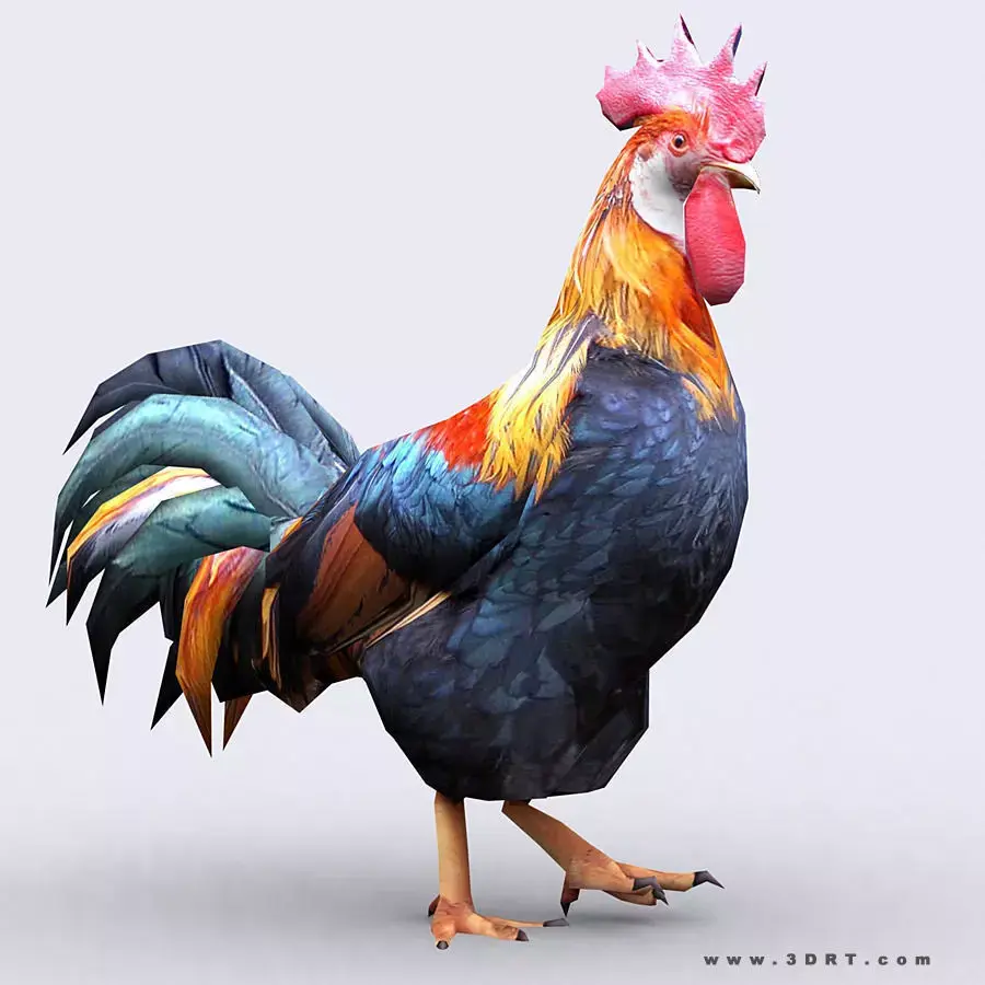 3DRT - Rooster Low-poly 3D model