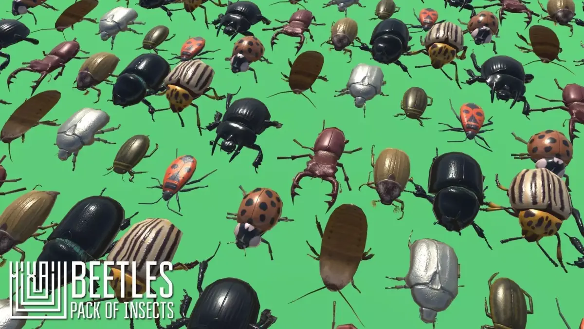 Beetles - pack of insects Low-poly 3D model