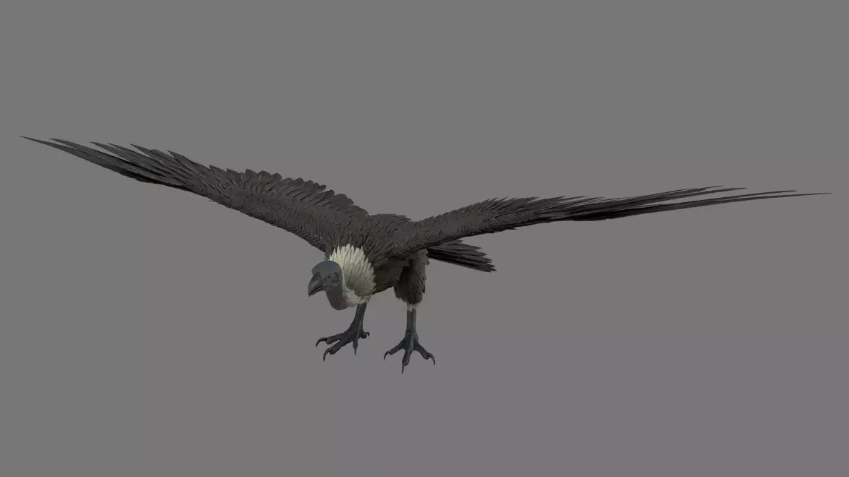 vulture 3D model buy