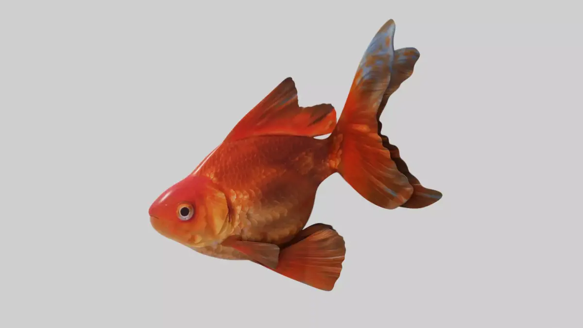 Goldfish animation  Low-poly 3D model