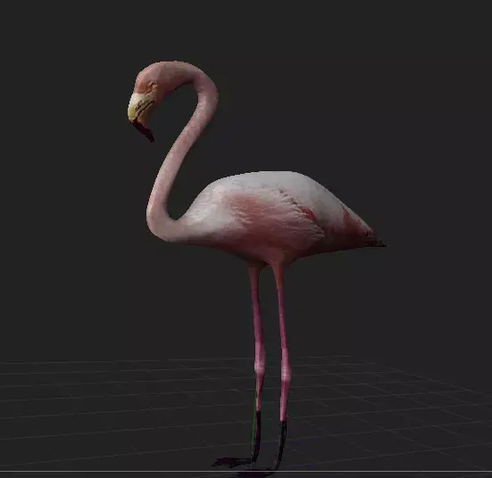 Flamingo 3D model purchase