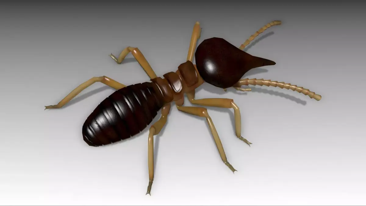 Nasute Termite Low-poly 3D model