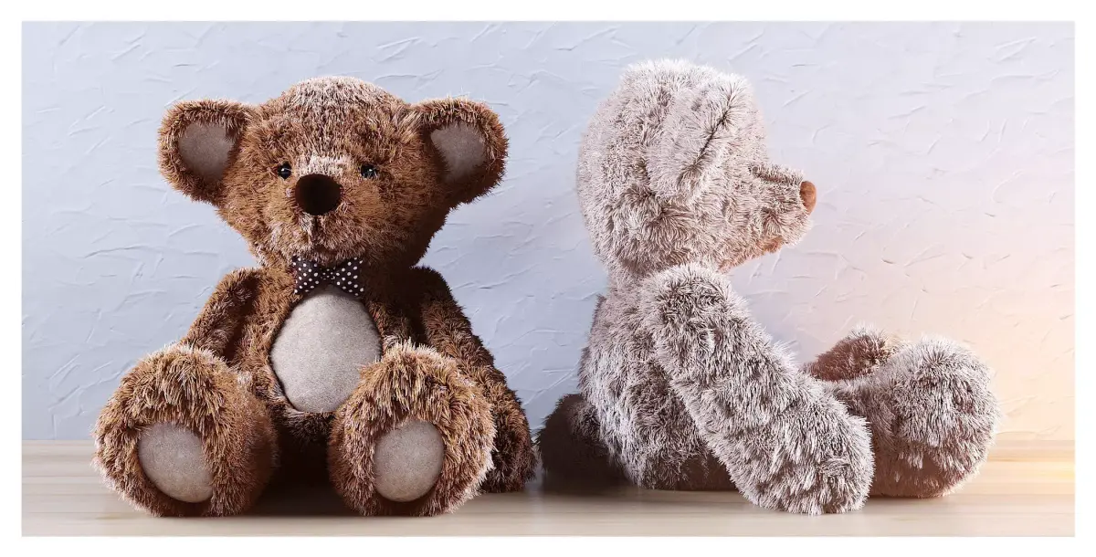 Teddy Bear 3D model buy
