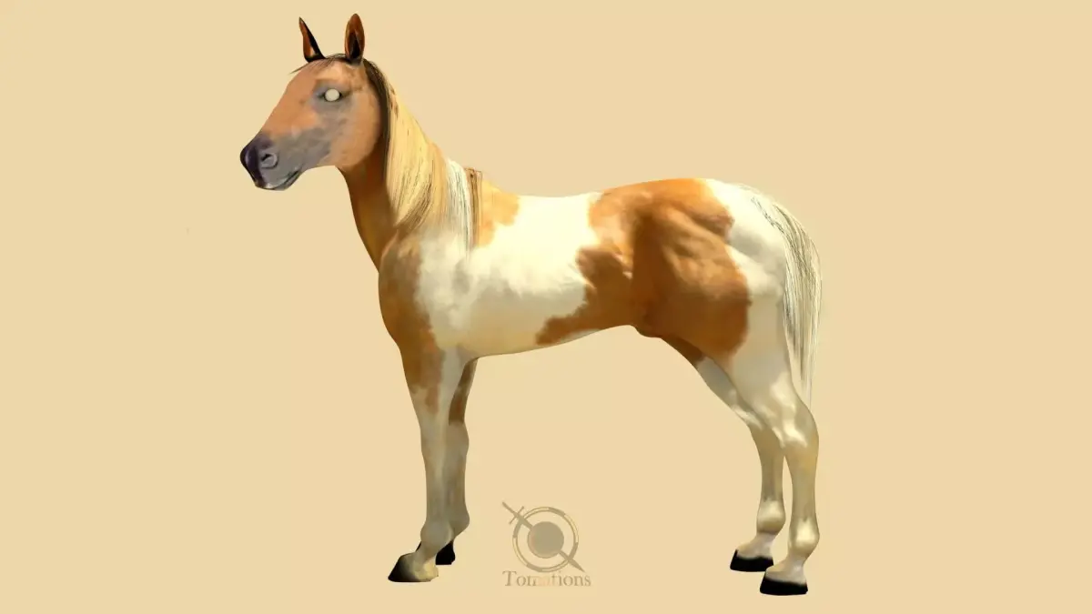 Horse 3D model 2