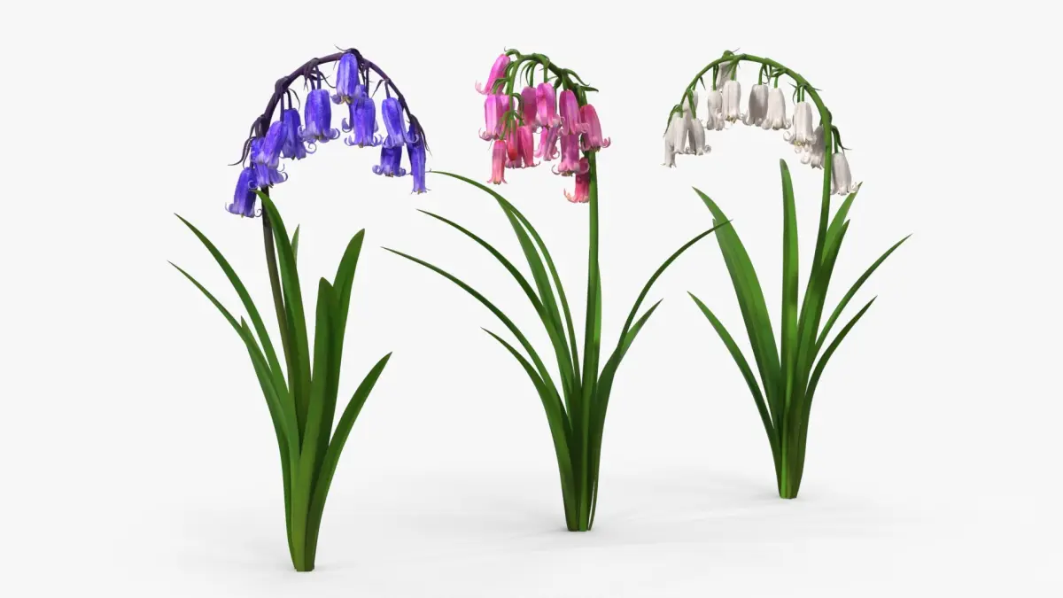 Bluebell Plants Set Mixed 3D model