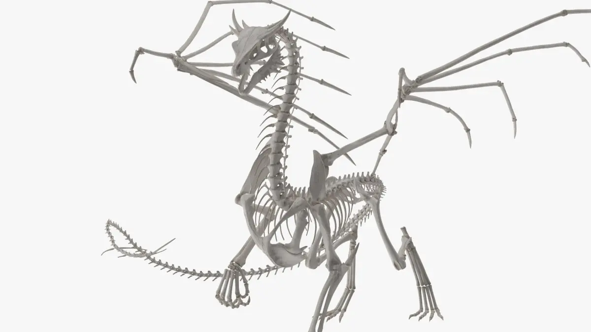 Dragon Skeleton Posed  purchase 3D model