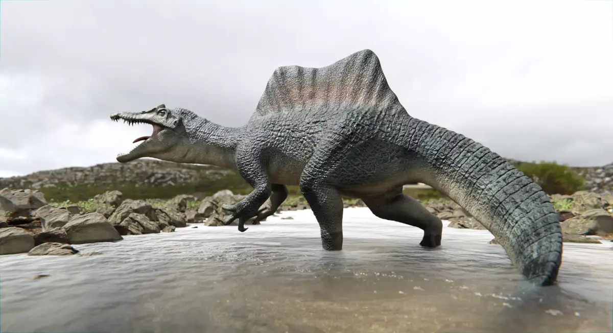 Spinosaurus Dinosaur Low-poly 3D model buy