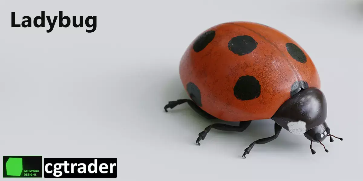 Ladybug 3D model purchase