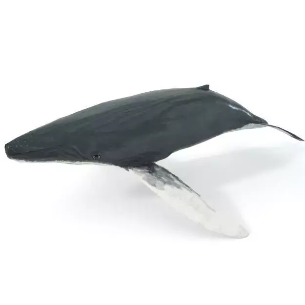 Whale Low-poly 3D model purchase