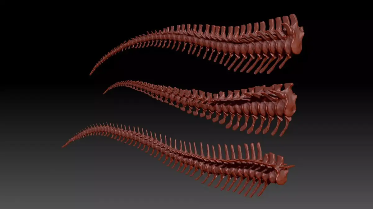 Dinosaur Spinosaurus Tyrannosaurus Giganotosaurus Tail Skeletons 3D model