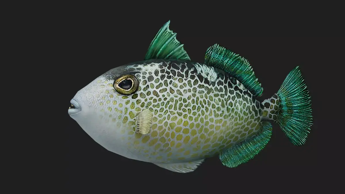 Triggerfish Low-poly 3D model purchase