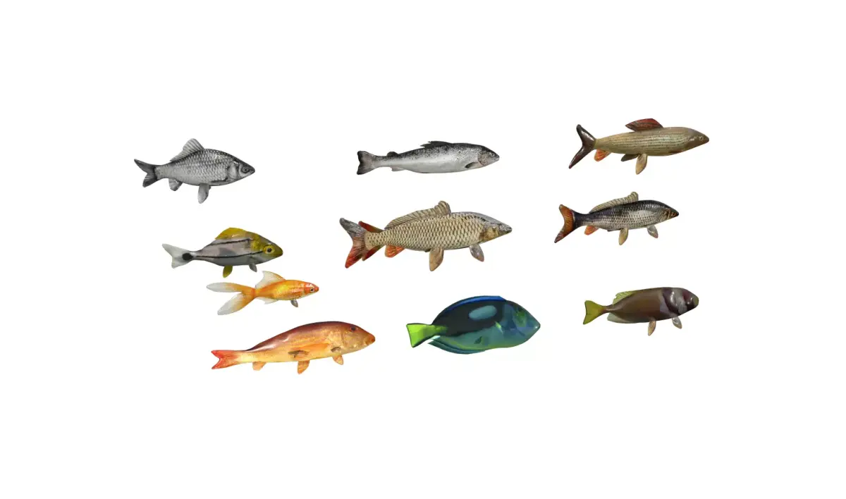 Fish Pack Low-poly 3D model buy