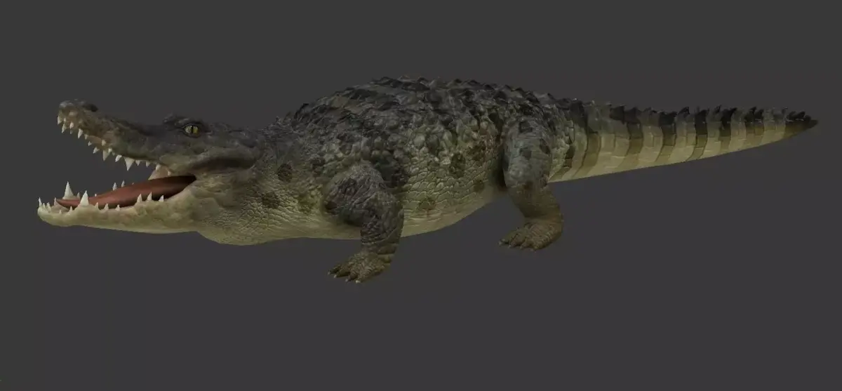 crocodile Low-poly 3D model order