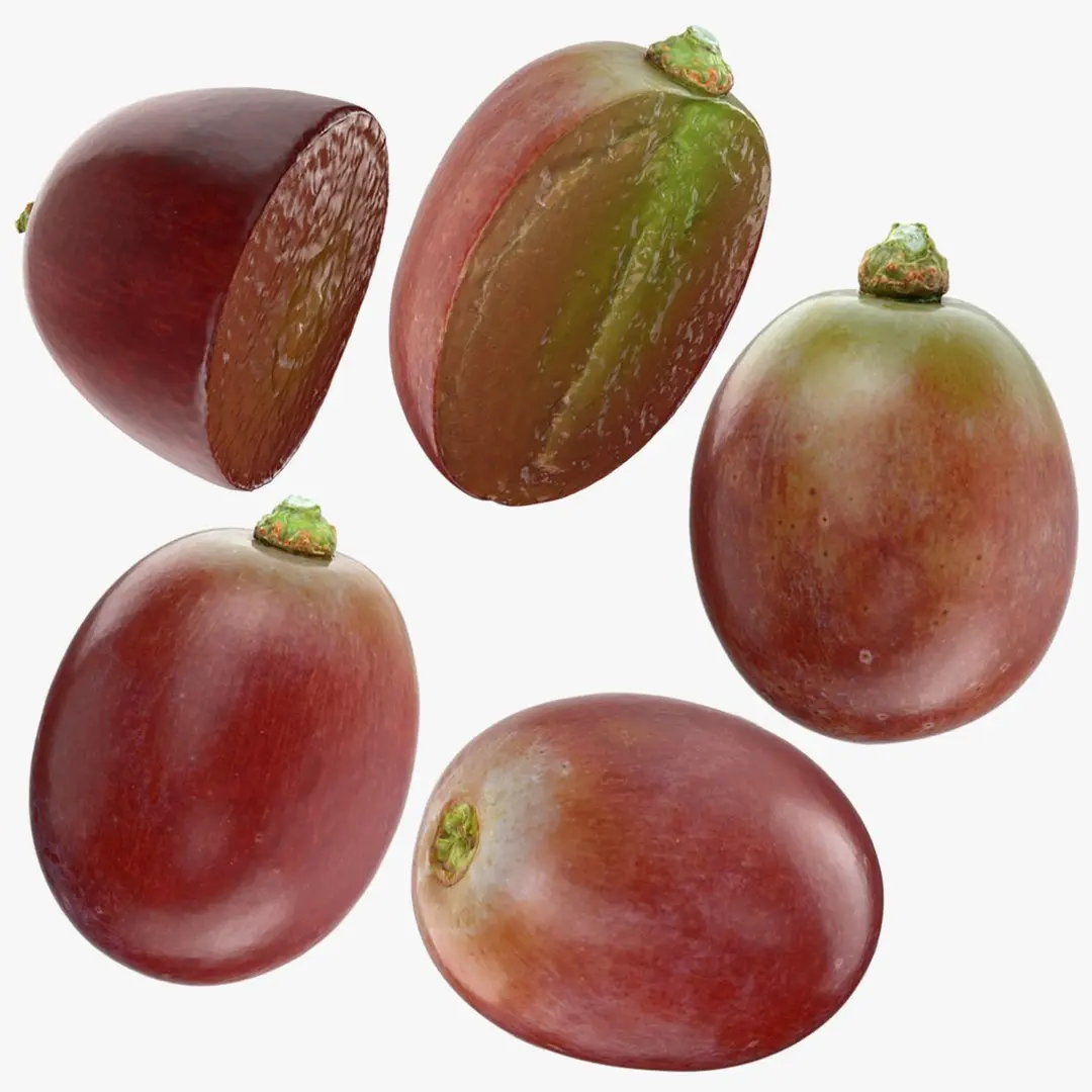Grape Collection 2 3D model