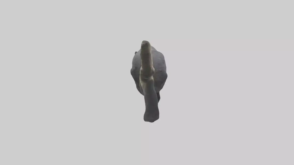 Binturong lounging model Low-poly 3D model