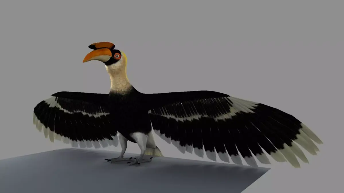 Great Indian hornbill 3D model