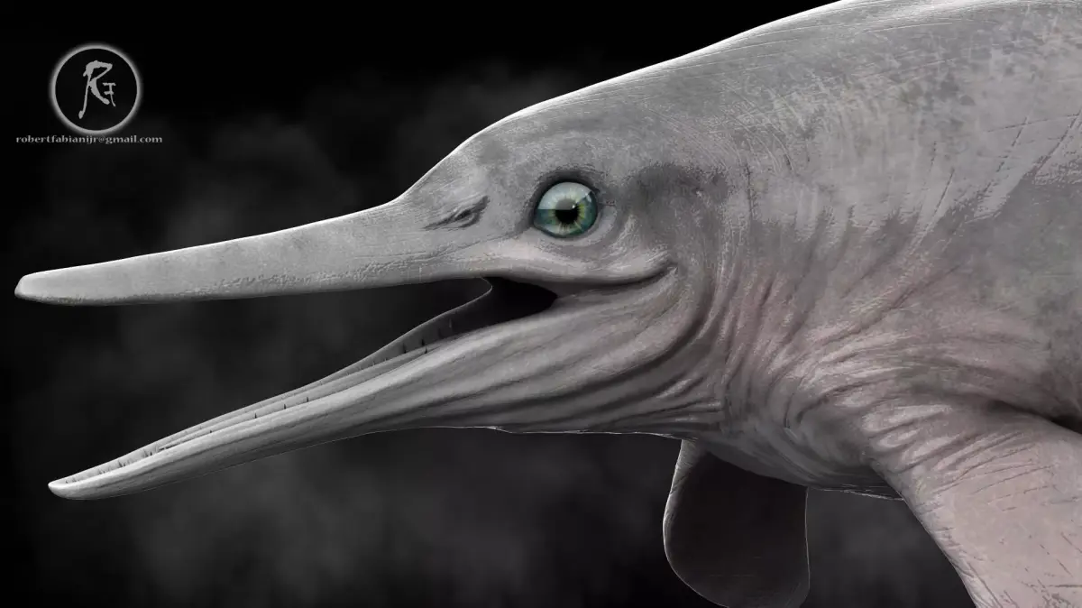 Ophthalmosaurus Low-poly 3D model