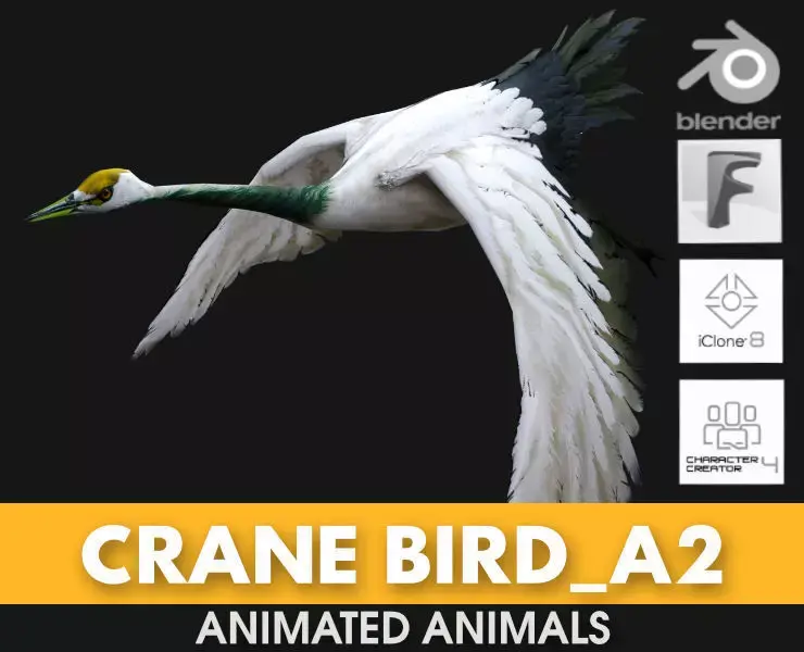 Crane Bird A2 3D model