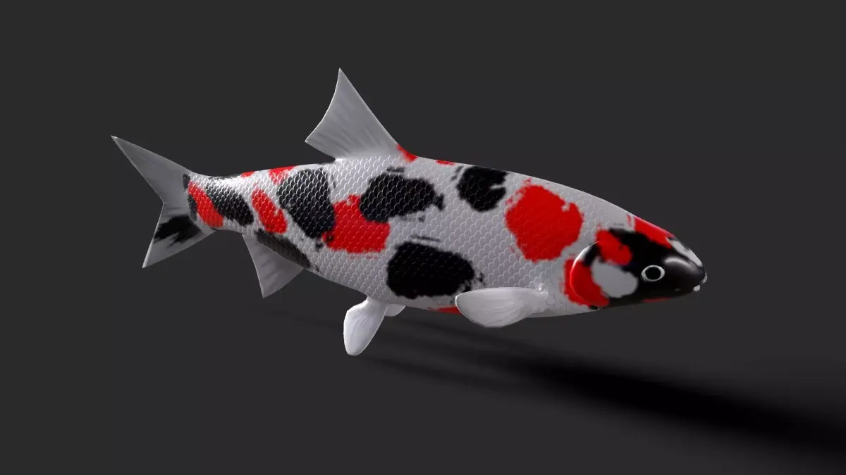 fish animals Low-poly 3D model