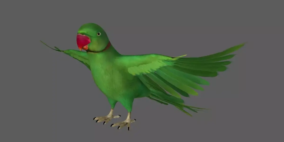 Green Parrot 3D model