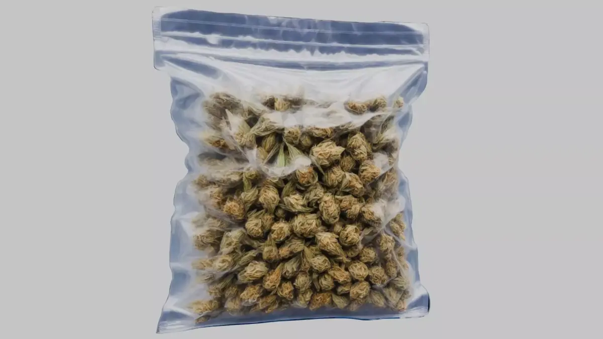 Cannabis Transparent plastic container Weed Bag CBD Hemp Low-poly 3D model