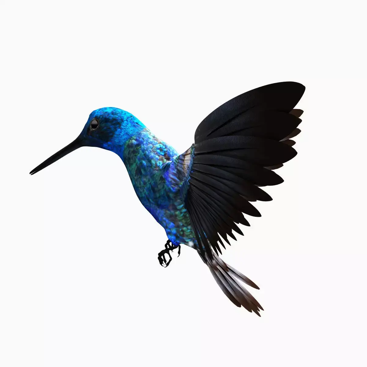 hummingbird flying in air 3D model