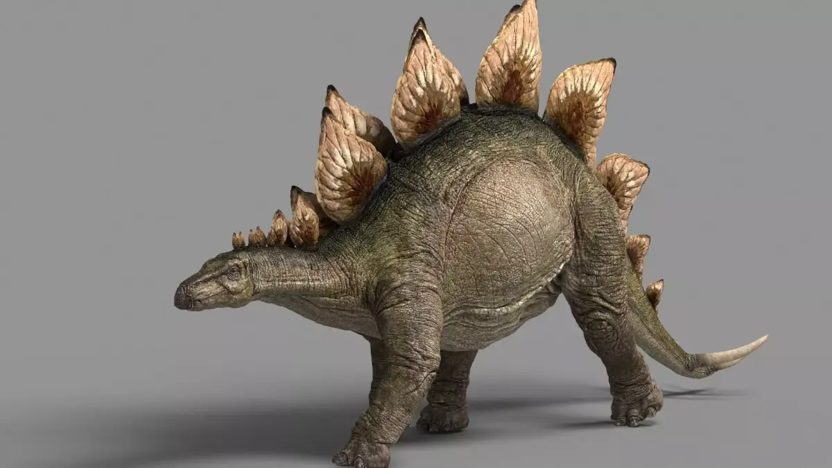 Stegosaurus animations Low-poly 3D model