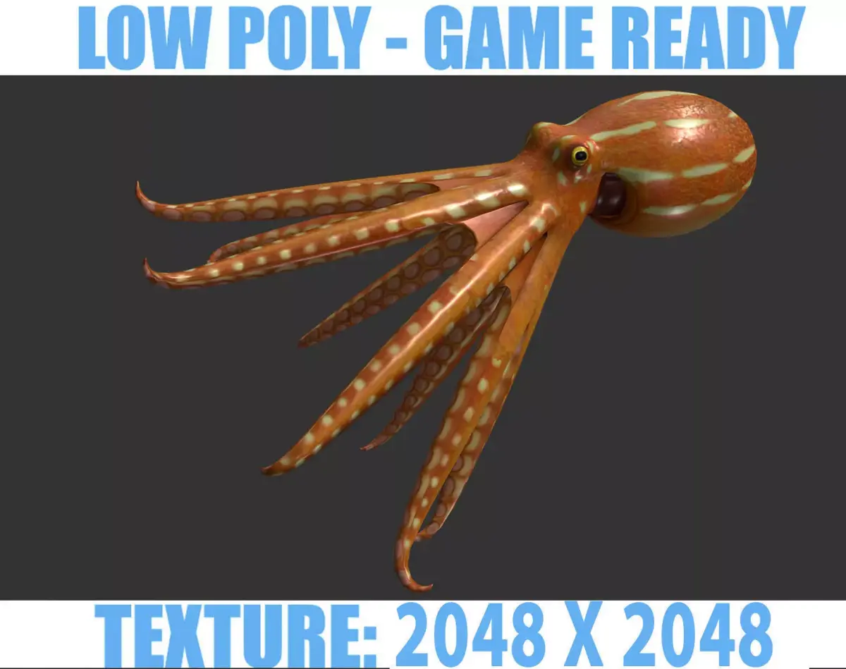 Octopus Low-poly 3D model get
