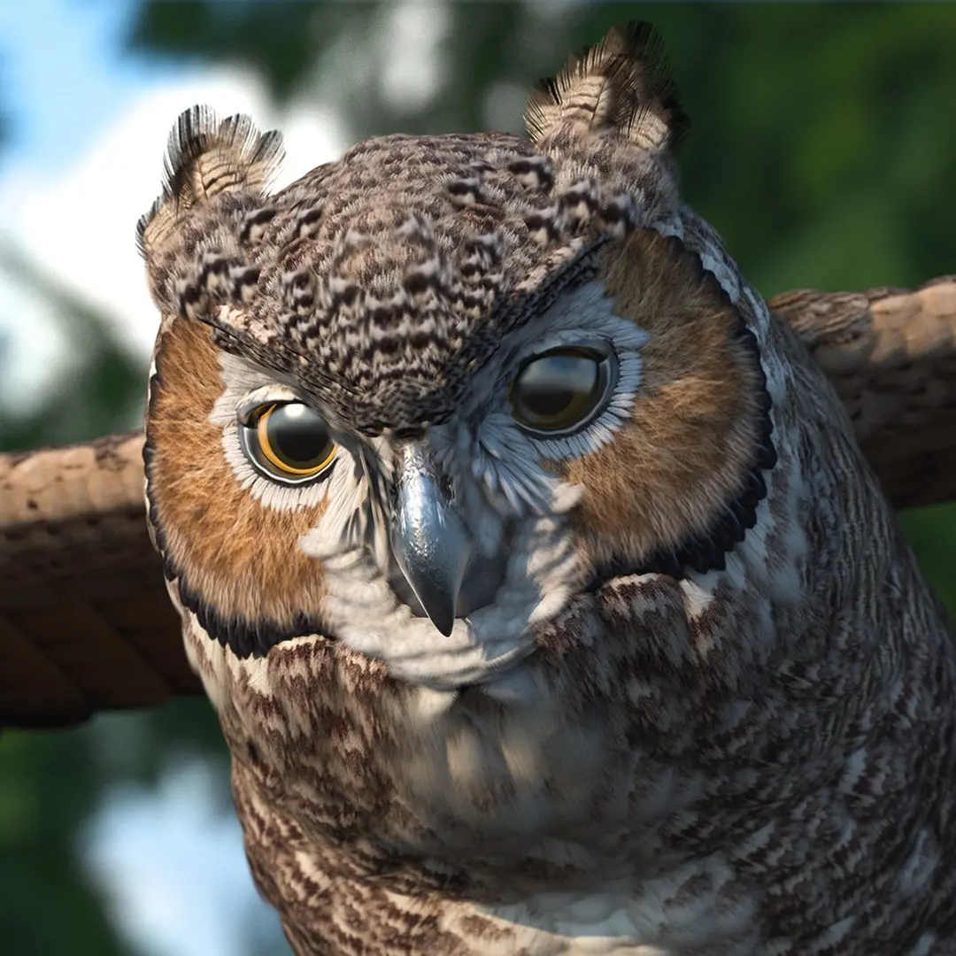 Great Horned Owl Rigged for Maya 3D model