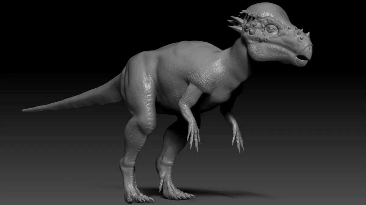 Dinosaur Pachycephalosaurus Sculpt Project 3D model