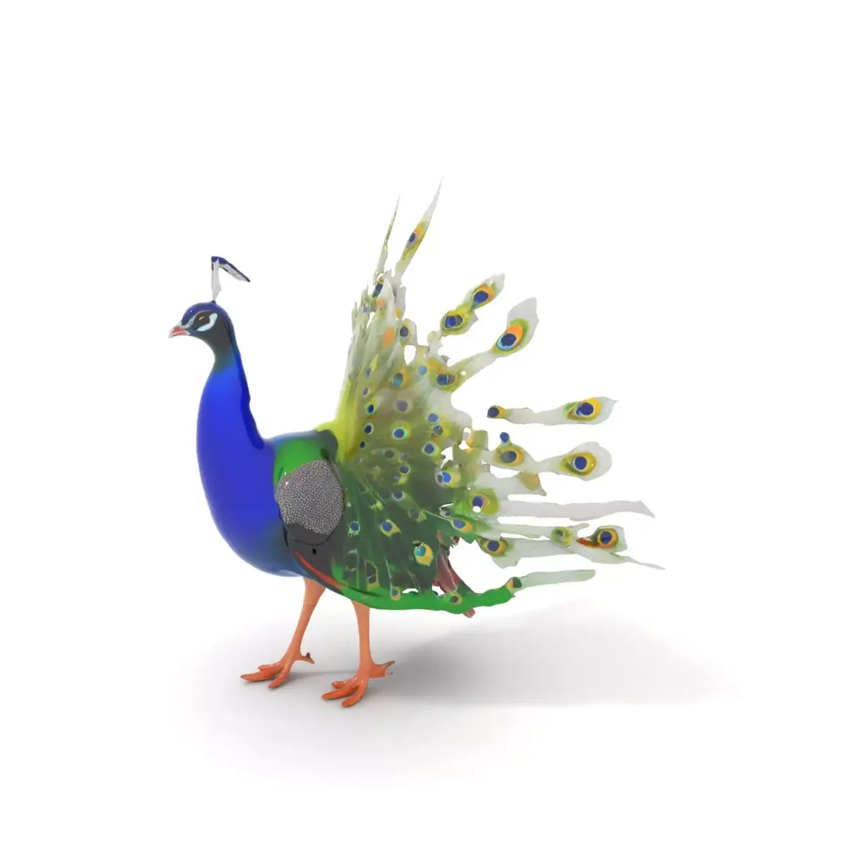 Vibrant Peacock model pack Low-poly 3D model