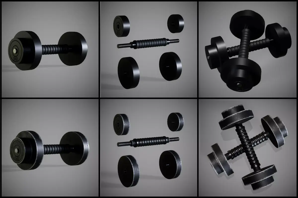 Adjustable Dumbbell New and Old 3D model
