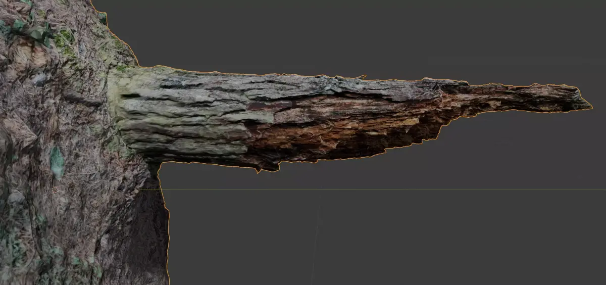 Rotten Tree trunk broken in forest 3d photorealistic scan 3D model