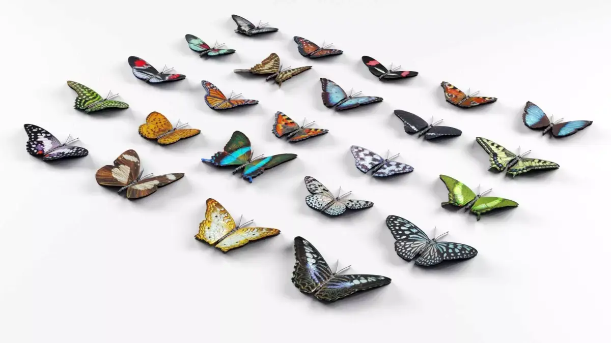 Butterflies Collection - 24 Rigged Low-Poly Butterfly Models Low-poly 3D model