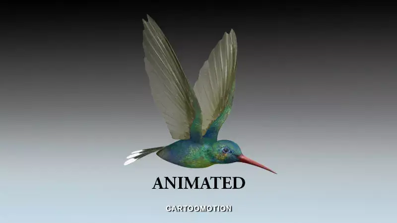 Humming bird Low-poly 3D model