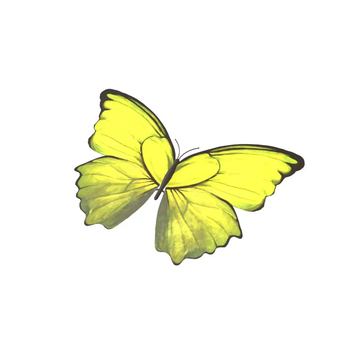 Butterfly v1 005 Low-poly 3D model