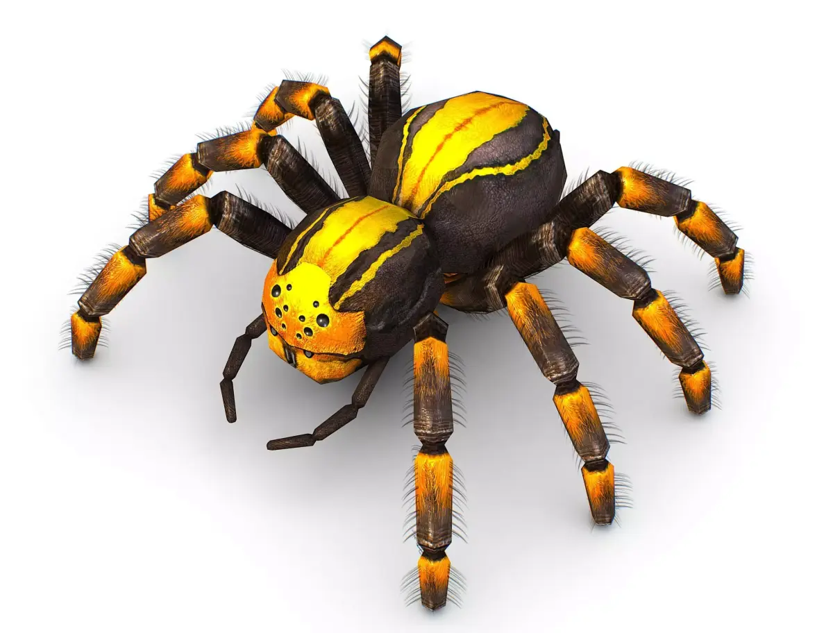 LowPoly Gigant Tarantula Spider Low-poly 3D model