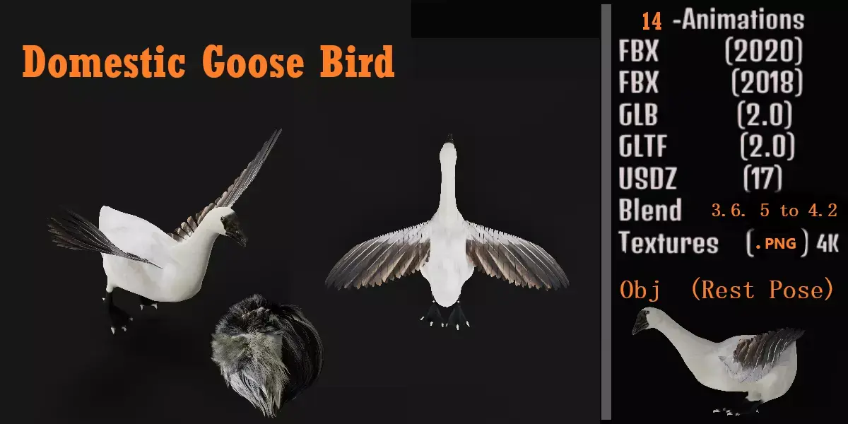 Domestic Goose Bird Low-poly 3D model