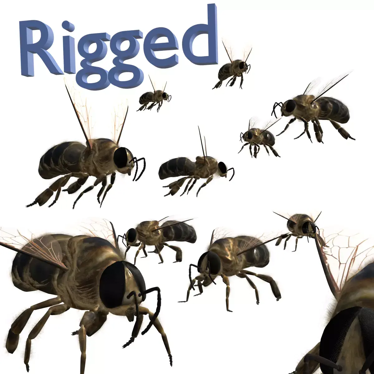 Animated bee Low-poly 3D model get