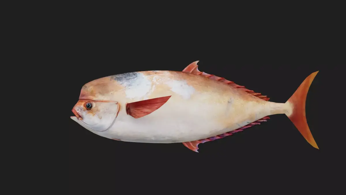 Louvar Low-poly 3D model