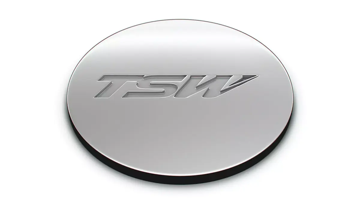 TWS logo 3D model