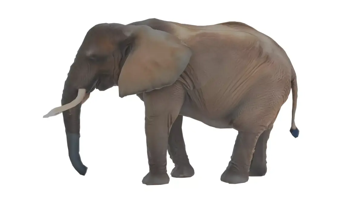 Elephant Low-poly 3D model get