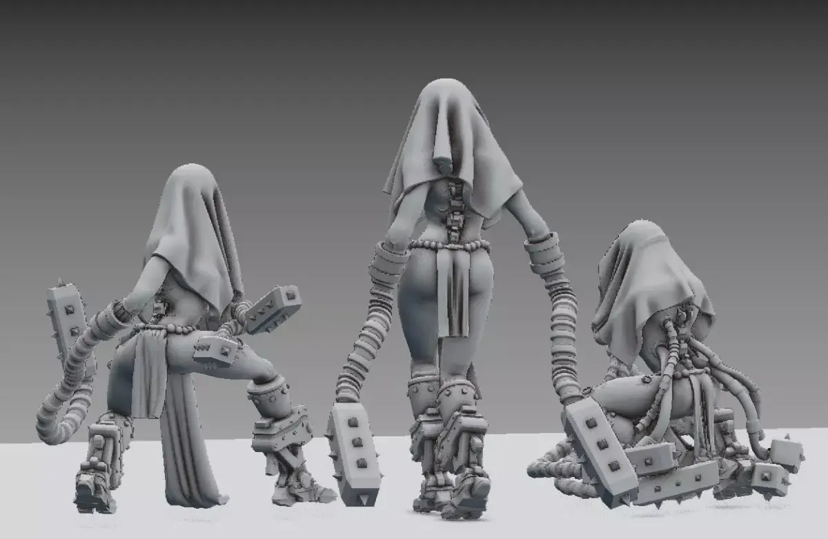 Arcofabulous Flagellant Set 2 3D print model